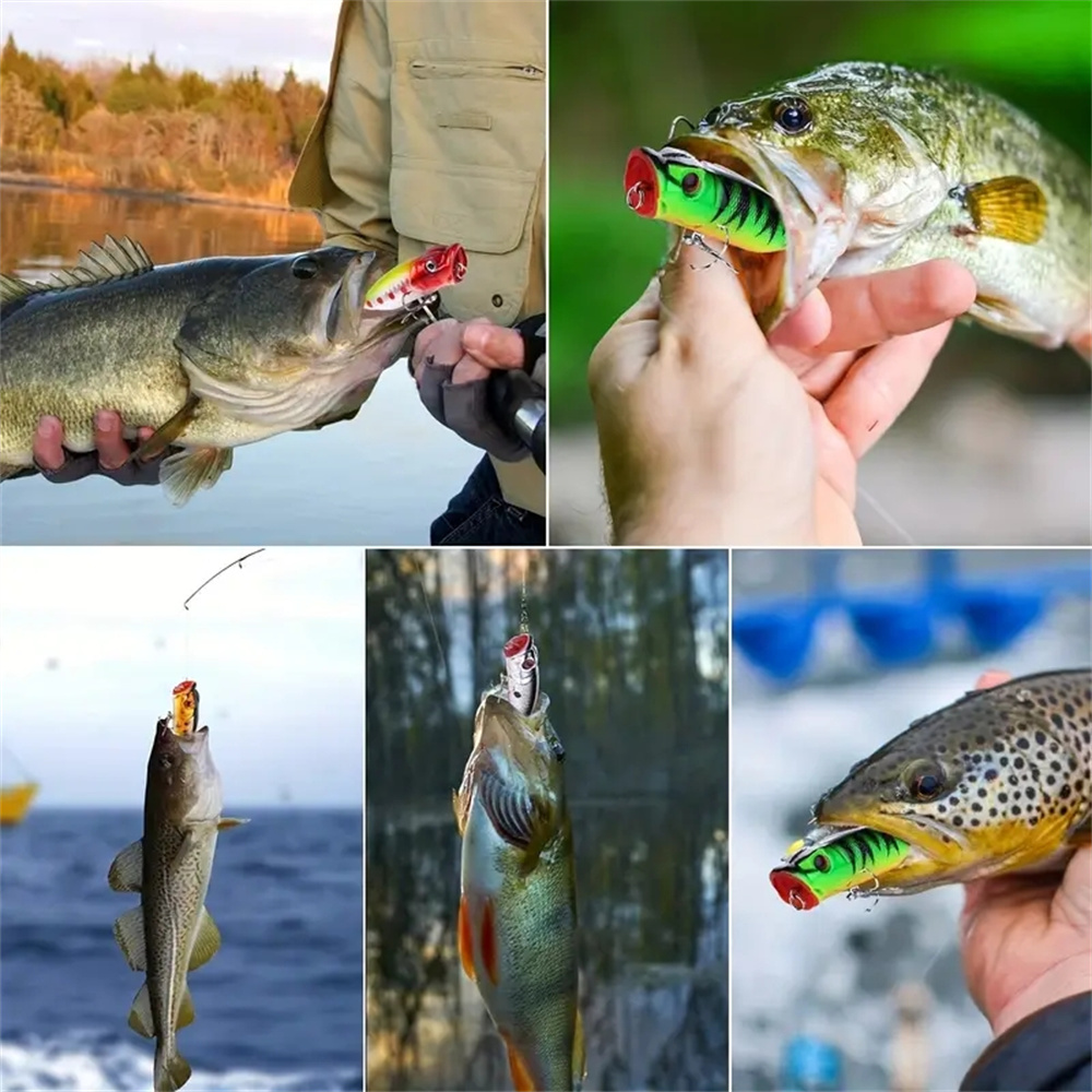 5 pièces leurres de pêche Popp - Fishing Lure Popper avis et prix