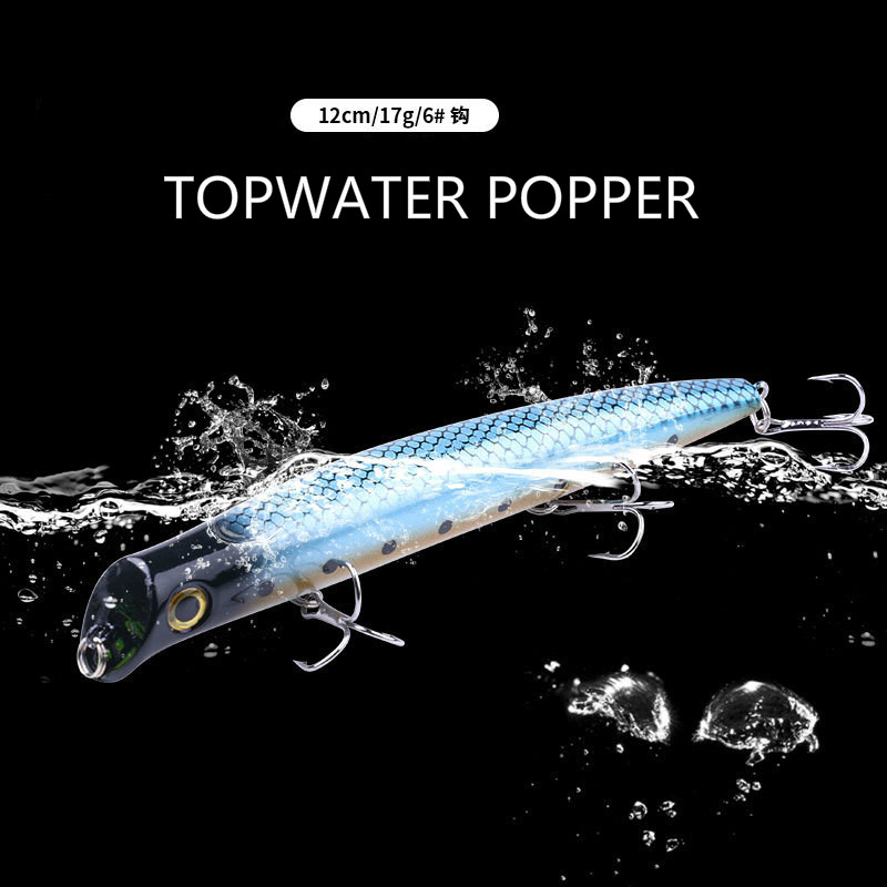 Leurre flottant Popper pour la - Fishing Lure Popper avis et prix